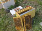 Пчелосемьи и Пчелопакеты Бакфаст нсо